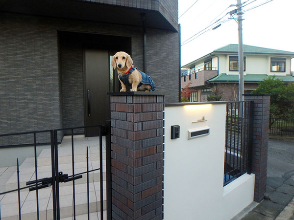 施工事例